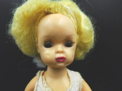 terri lee blonde face